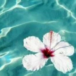 Meet your Posher, Alexia